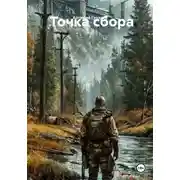 Постер книги Точка сбора