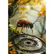 Постер книги Муравьиная мудрость
