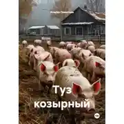 Постер книги Туз козырный