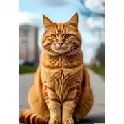 Постер книги Кот Барсик переезжает в новостройки