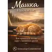 Постер книги ММ 10-10. Машка. На счастье