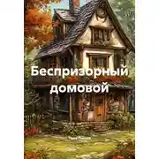 Постер книги Беспризорный домовой