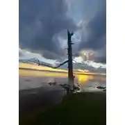 Постер книги Введение в антивозрастную фармакологию для всех