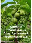 Война Владимир - Азимина 'Пенсильвания Голд': Ваш личный тропический сад