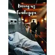 Постер книги Выход из Бельведера
