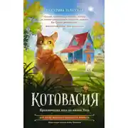 Постер книги Котовасия. Приключения кота по имени Тигр