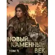 Постер книги Новый каменный век. Том 4