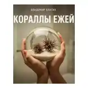 Постер книги Кораллы ежей