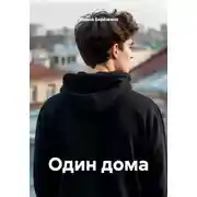 Постер книги Один дома