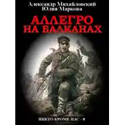 Постер книги Аллегро на Балканах