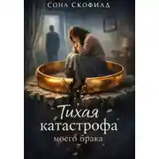Постер книги Тихая катастрофа моего брака