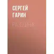 Постер книги Разбойник