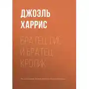 Постер книги Братец Лис и Братец Кролик