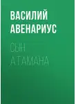  Василий Авенариус - Сын атамана