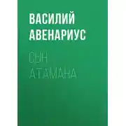 Постер книги Сын атамана