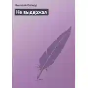 Постер книги Не выдержал