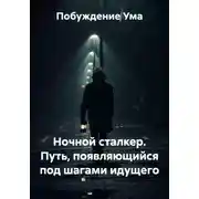 Постер книги Ночной сталкер. Путь, появляющийся под шагами идущего