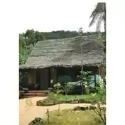 Постер книги Африканские минорики