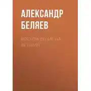 Постер книги Восхождение на Везувий