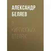 Постер книги В киргизских степях