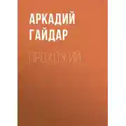 Постер книги Прохожий