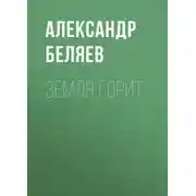 Постер книги Земля горит