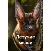 Постер книги Летучие мыши