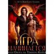 Постер книги Игра начинается или Охота на Темного Князя