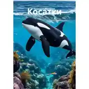 Постер книги Косатки