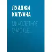 Постер книги Мимолетное счастье
