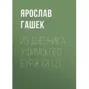 Постер книги Из дневника уфимского буржуя (2)
