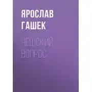 Постер книги Чешский вопрос