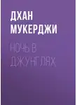 Дхан Мукерджи - Ночь в джунглях