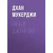Постер книги Ночь в джунглях