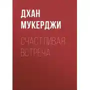 Постер книги Счастливая встреча