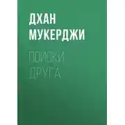 Постер книги Поиски друга