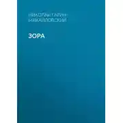 Постер книги Зора