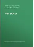 Николай Гарин-Михайловский - Три брата