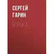 Постер книги Борька