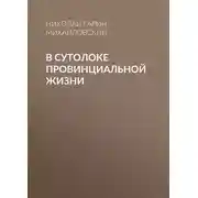 Постер книги В сутолоке провинциальной жизни