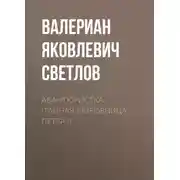 Постер книги Авантюристка (Тайная любовница Петра I)