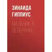 Постер книги Мальчик в пелеринке