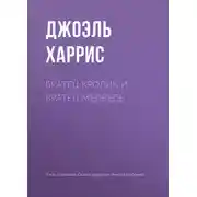 Постер книги Братец Кролик и Братец Медведь