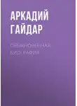 Аркадий Гайдар - Обыкновенная биография