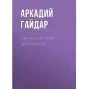 Постер книги Обыкновенная биография