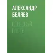 Постер книги Небесный гость