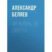 Постер книги Ни жизнь, ни смерть