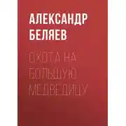 Постер книги Охота на Большую Медведицу