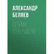Постер книги Сезам, откройся!!!