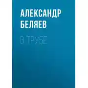 Постер книги В трубе